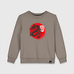 Детский свитшот Ниндзя дракон Япония