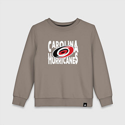 Свитшот хлопковый детский Каролина Харрикейнз, Carolina Hurricanes, цвет: утренний латте