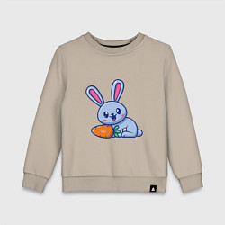 Детский свитшот Кролик и морковка