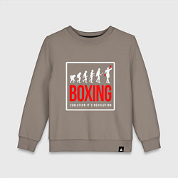 Детский свитшот Boxing evolution its revolution