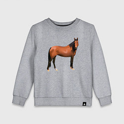 Свитшот хлопковый детский Теплокровная лошадка, цвет: меланж