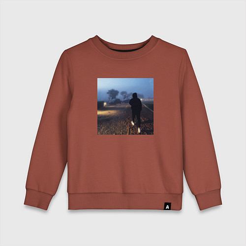 Детский свитшот Pharaoh Philarmonia / Кирпичный – фото 1