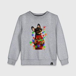 Свитшот хлопковый детский Новогодняя такса, цвет: меланж