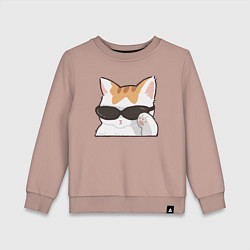 Детский свитшот Бело-рыжий котик в очках