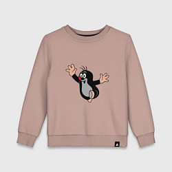 Детский свитшот Чешский крот из мультика