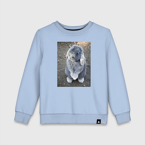 Детский свитшот Кролик очаровашка / Мягкое небо – фото 1