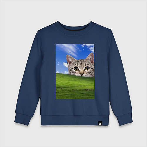 Детский свитшот Кот и безмятежность в Windows XP / Тёмно-синий – фото 1