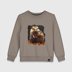 Детский свитшот Милые ёжики