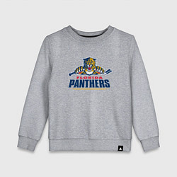 Детский свитшот Florida panthers - hockey team