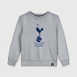 Детский свитшот Tottenham Hotspur fc sport