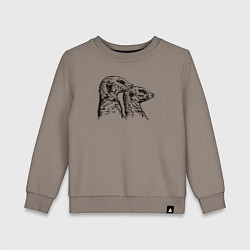 Детский свитшот Пара сурикатов