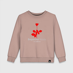 Детский свитшот Depeche Mode - Violator rose logo