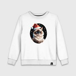 Детский свитшот Кот породы Рэгдолл в новогодней шапке