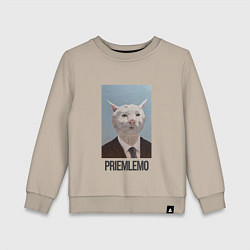 Свитшот хлопковый детский Приемлемо - кот мем в живописи, цвет: миндальный