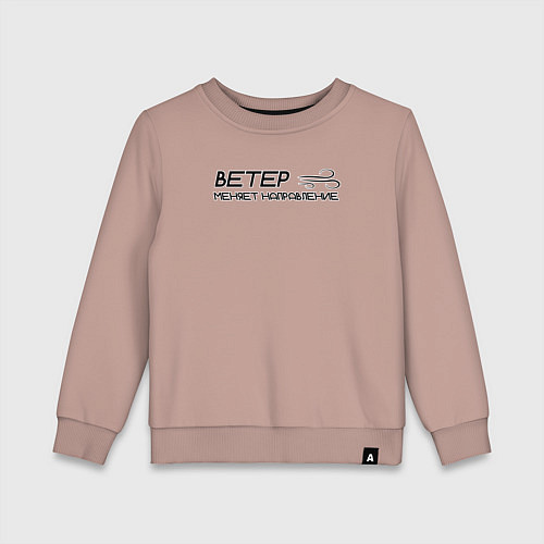 Детский свитшот Ветер меняет направление / Пыльно-розовый – фото 1