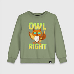 Детский свитшот Owl right - каламбур отлично