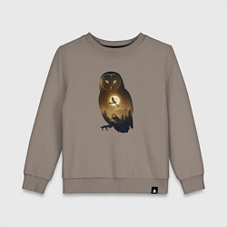 Детский свитшот Лунная совушка