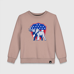 Детский свитшот Слон США