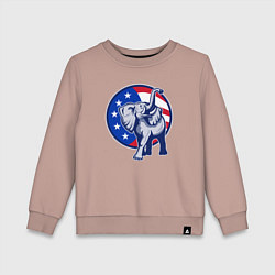 Детский свитшот USA elephant