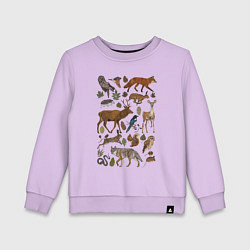 Детский свитшот Лесные животные и птицы