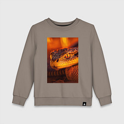 Детский свитшот Огненная змея