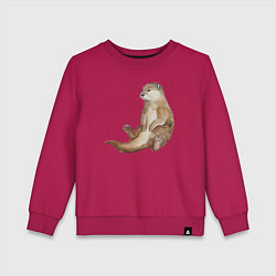 Детский свитшот Выдра сидит