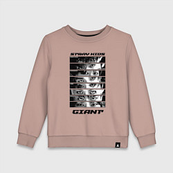 Детский свитшот Stray Kids album Giant eyes