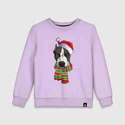 Детский свитшот Новогодний питбуль