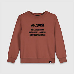 Детский свитшот Андрей оригинальная версия