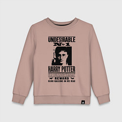 Детский свитшот Harry Potter - wanted