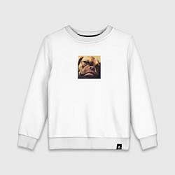 Детский свитшот Сердитый Песик