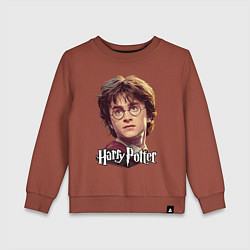 Детский свитшот Harry Potter wizard