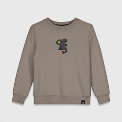 Детский свитшот Ночная фурия пара для дневной