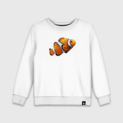 Свитшот хлопковый детский Рыбка попугай, цвет: белый