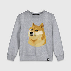 Детский свитшот Doge