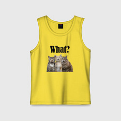 Детская майка Удивленные кошки