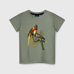 Футболка хлопковая детская Тропические попугаи, цвет: авокадо