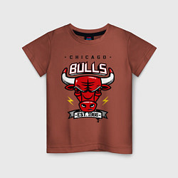Футболка хлопковая детская Chicago Bulls est. 1966, цвет: кирпичный
