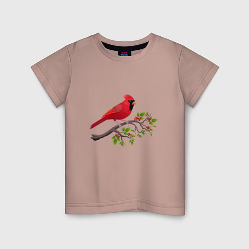 Детская футболка Красный кардинал / Пыльно-розовый – фото 1