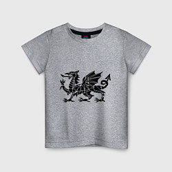 Футболка хлопковая детская Мифический дракон, цвет: меланж