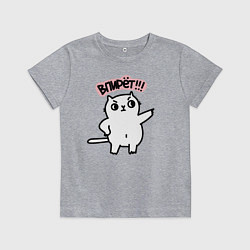 Футболка хлопковая детская Кот впирёт, цвет: меланж