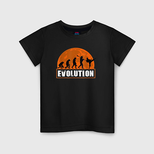 Детская футболка Карате эволюция / Черный – фото 1