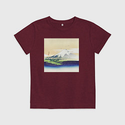 Футболка хлопковая детская Fuji Гора Фудзи, цвет: меланж-бордовый