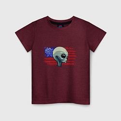 Футболка хлопковая детская USA Alien, цвет: меланж-бордовый