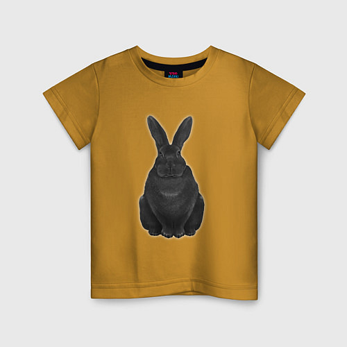 Детская футболка Черный водяной кролик - 2023 / Горчичный – фото 1