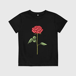 Футболка хлопковая детская Роза красная, цвет: черный
