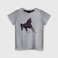 Футболка хлопковая детская Марварская лошадь, цвет: меланж