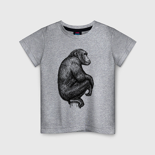 Детская футболка Шимпанзе на дереве / Меланж – фото 1
