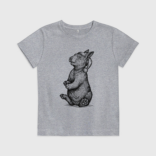 Детская футболка Заяц в новогодней шапке / Меланж – фото 1