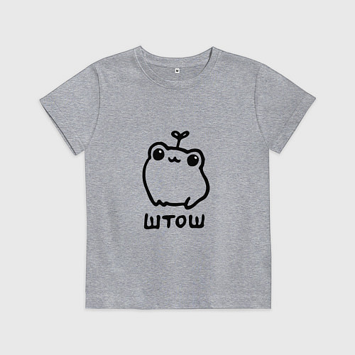 Детская футболка Милая смешная лягушка штош / Меланж – фото 1